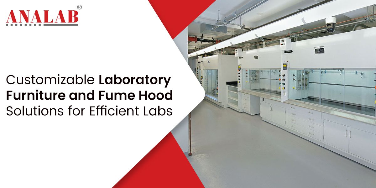 Customizable Laboratory Furniture and Fume Hood Solutions